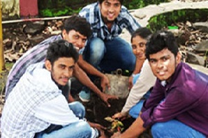 tree-plantation-1