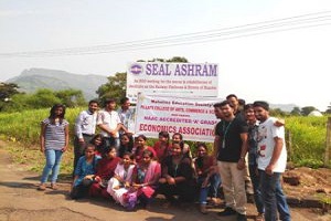 sealashram-300×2250