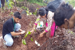 Tree-Plantation-2017-18-1-1