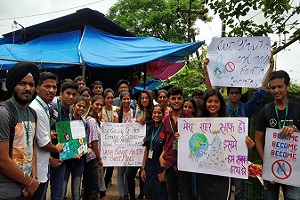 ani-plastic-drive-1-1