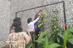 bottle-gardening-activity-2019-1-1