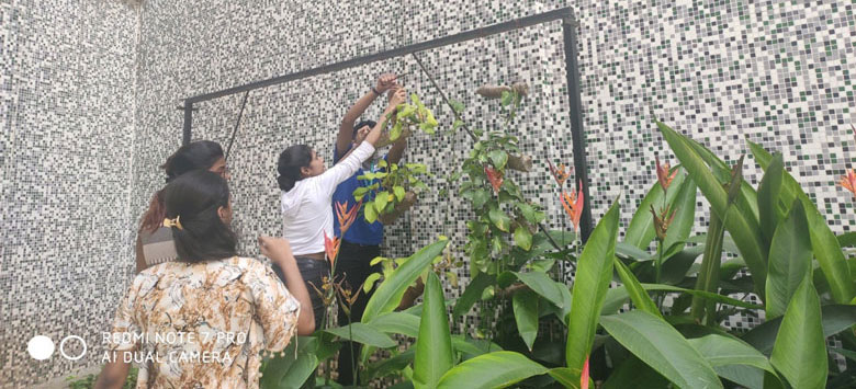 bottle-gardening-activity-2019-1