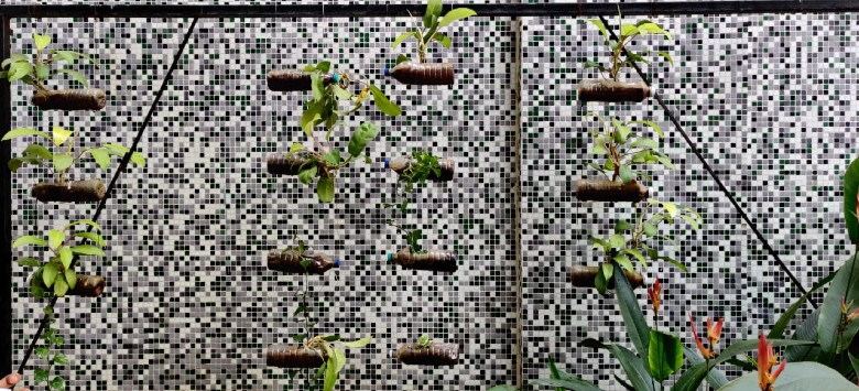 bottle-gardening-activity-2020-3