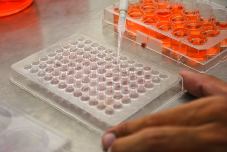 research-facility-Animal-Tissue-Culture-Lab-2