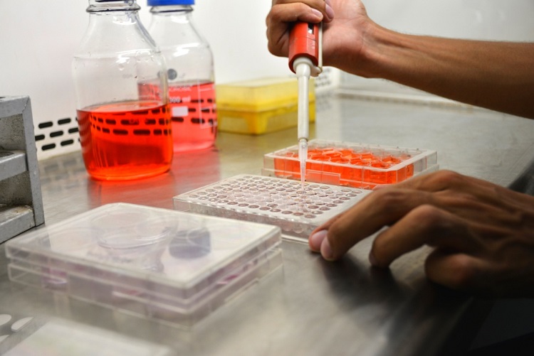 research-facility-Animal-Tissue-Culture-Lab-3