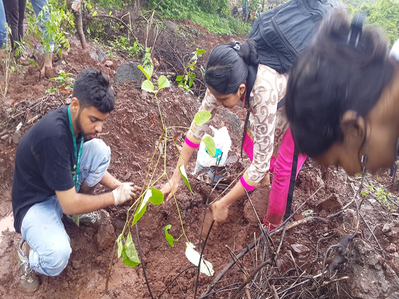 Tree-Plantation-2017-18-1