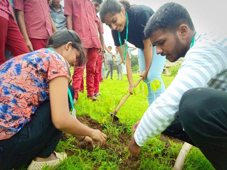 tree-plantation-2