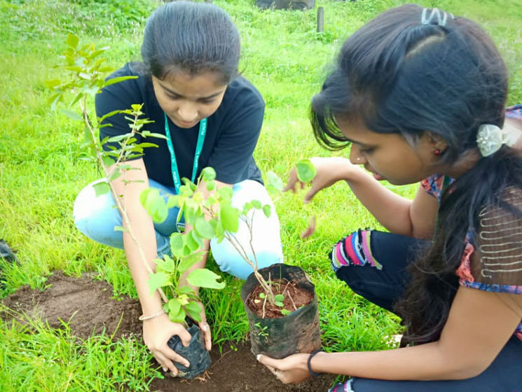 tree-plantation-3